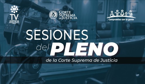 Galería Multimedia de las Sesiones Pleno